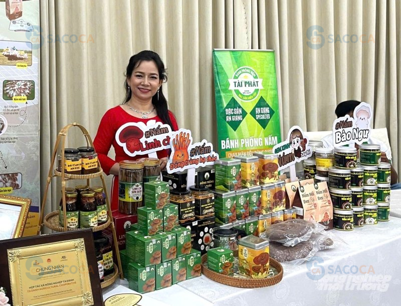 Hướng dẫn cách thay đổi địa chỉ kinh doanh cho hộ kinh doanh