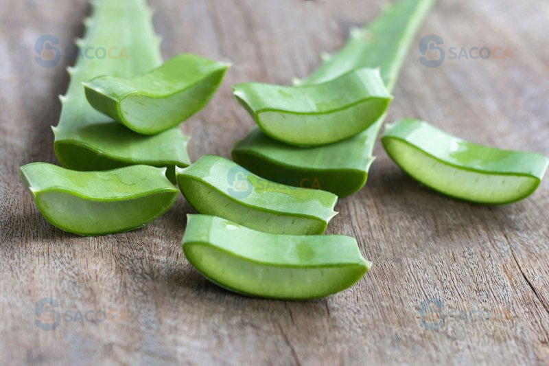 So sánh chi tiết giữa hộ kinh doanh và công ty tư nhân