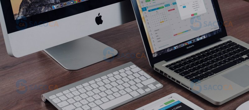 So sánh chi tiết giữa hộ kinh doanh và công ty tư nhân